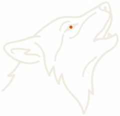 Kurtera